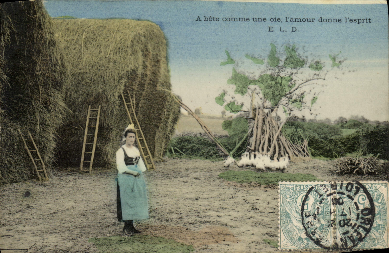 CPA Folklore A bete comme une oie l'amour donne l'esprit 