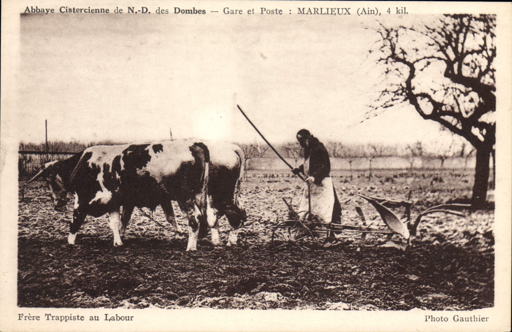 CPA Folklore Abbaye cistercienne de ND des Dombes Gare et Poste Marlieux Frere trappiste au labour 