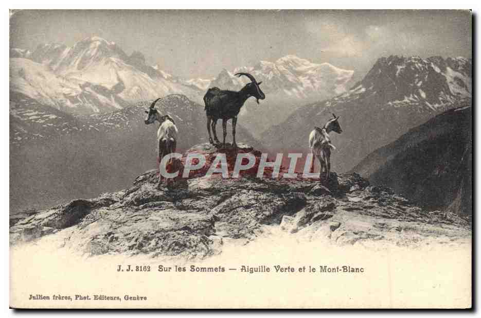 CPA Chevre Sur les sommets Aiguille verte et le Mont Blanc