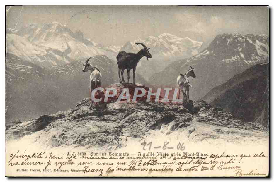 CPA Chevre Sur les sommets Aiguille verte et le Mont Blanc