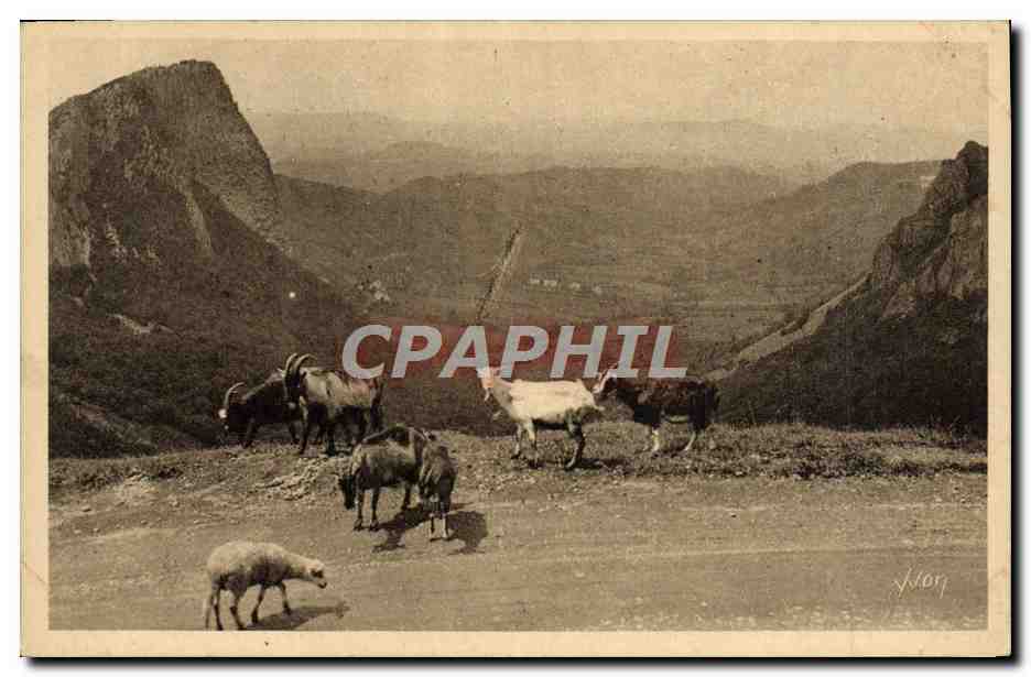CPA Chevre Auvergne Environs du Mont Dore Vallee de la Sioule et les roches Sasnadoire et Tuiliere 