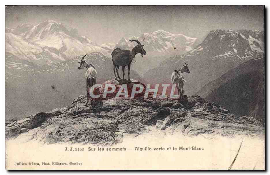 CPA Chevre Sur les sommets Aiguille verte et le Mont Blanc