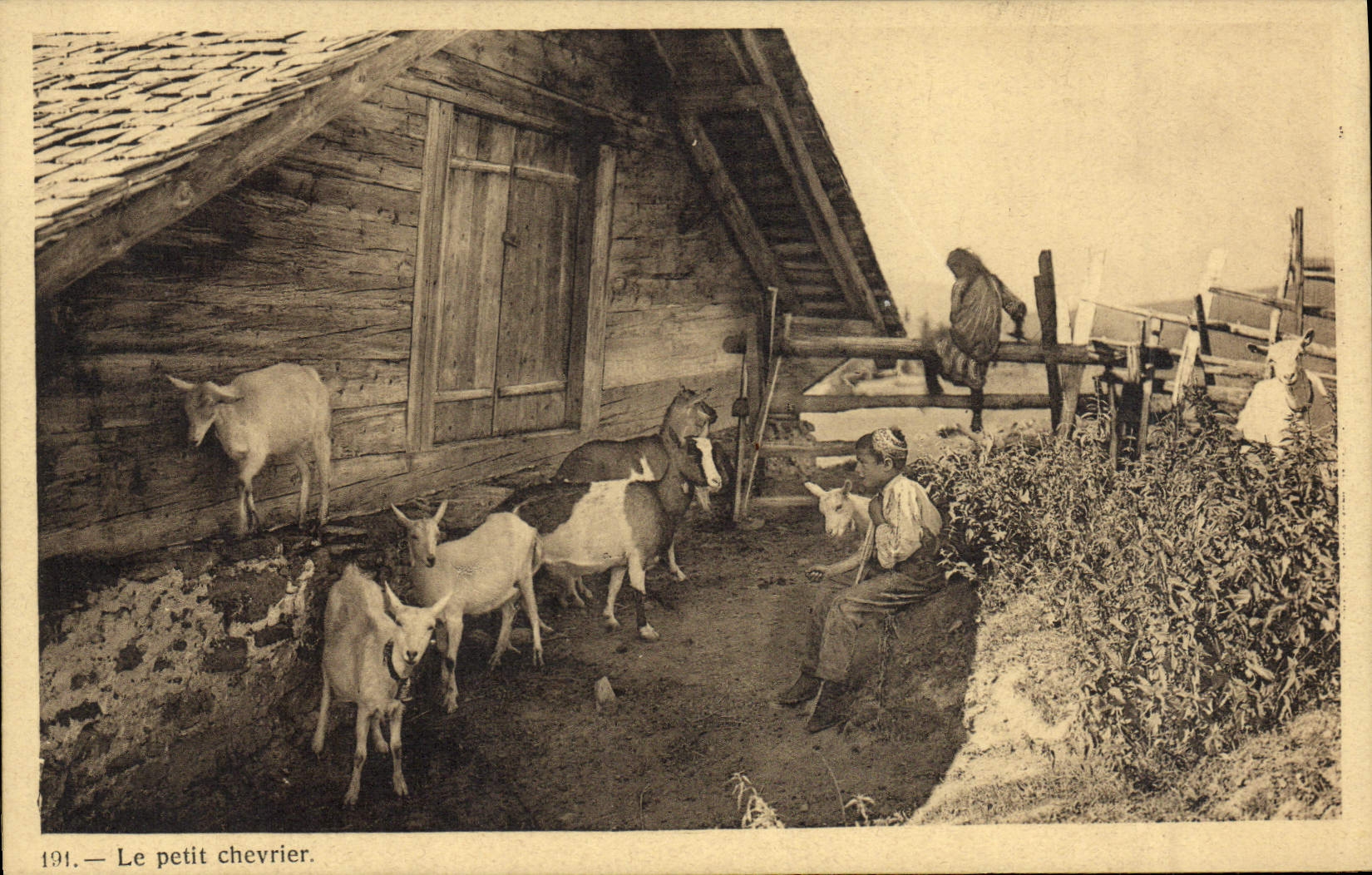 Le petit chevrier — scène de ferme avec chèvres — G. Decaux, Phot.-Edit., Leysin, n°194