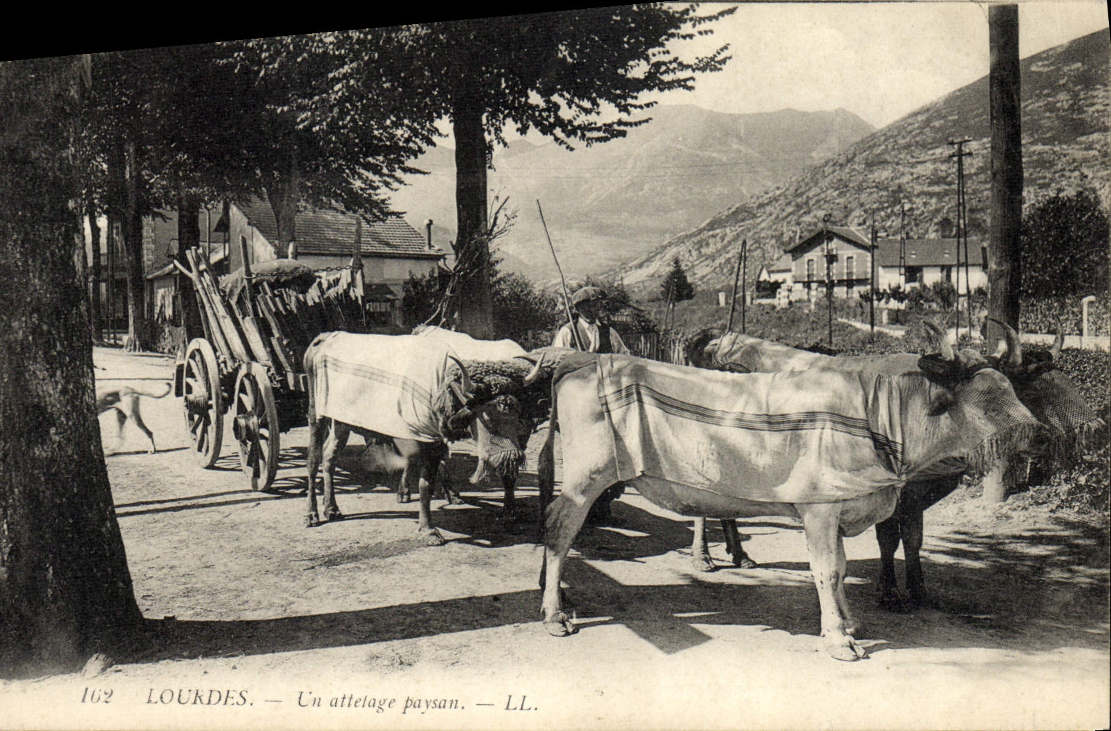 CPA Lourdes Un attelage paysan Boeufs 