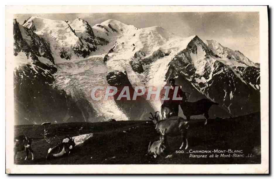 CPA Chevre Chamonix Mont Blanc Planpraz et le Mont Blanc 
