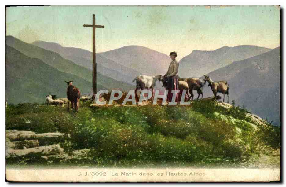 CPA Chevre Le matin dans les Hautes Alpes 