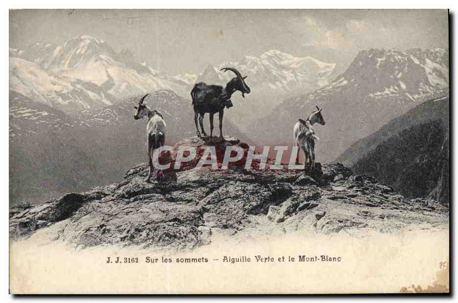 CPA Chevre Sur les sommets Aiguille verte et le Mont Blanc 