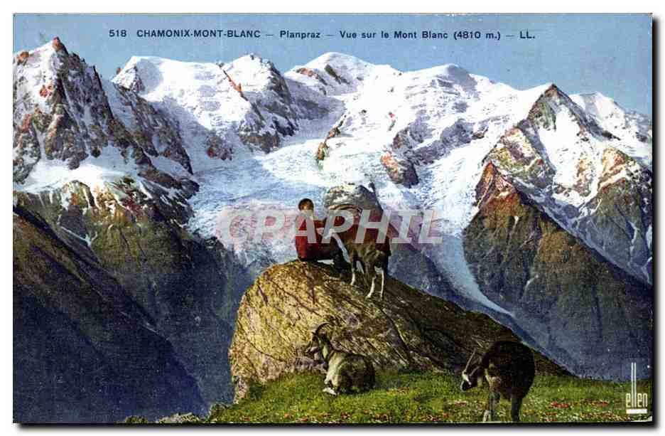 CPA Chevre Chamonix Mont Blanc Planpraz Vue sur le Mont Blanc 