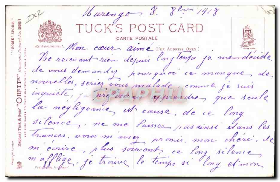Liefdespaar op de strand — Tuck's Post Card n° 8881 — W. Lott — Achterkant