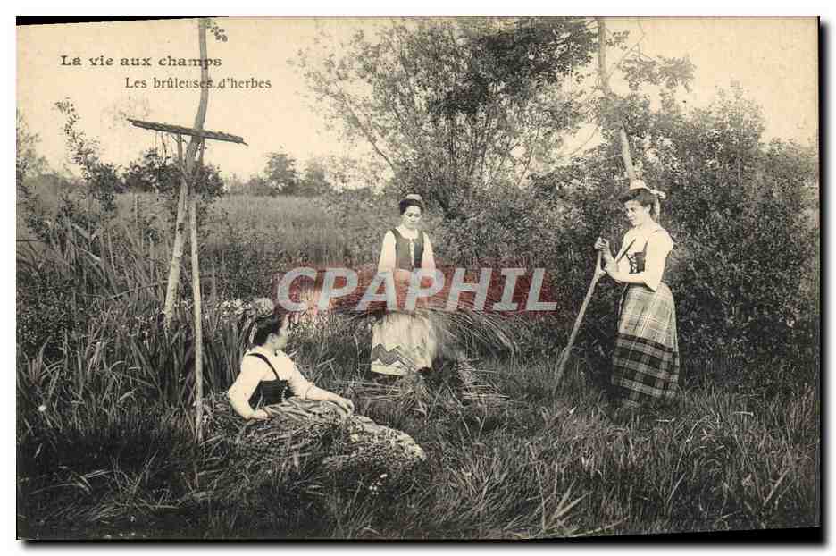 CPA Folklore La vie aux champs Les bruleuses d'herbes 