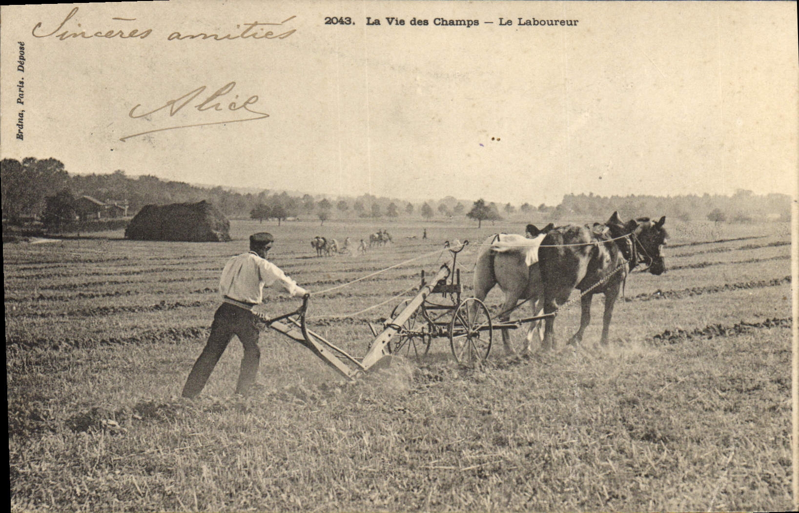 CPA Folklore La vie aux champs Le laboureur Cheval