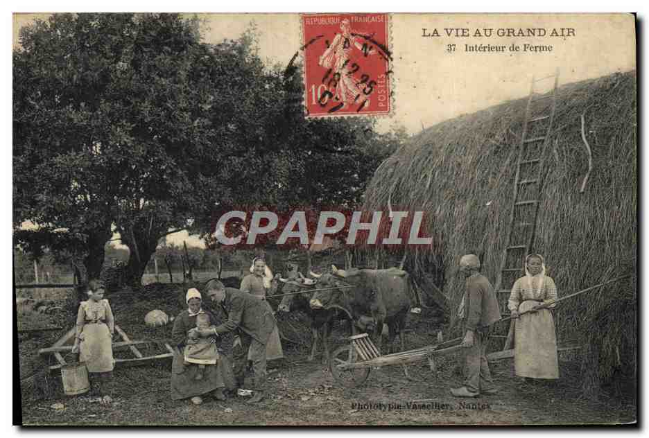 CPA Folklore La vie au grand air Interieur de ferme Boeufs TOP