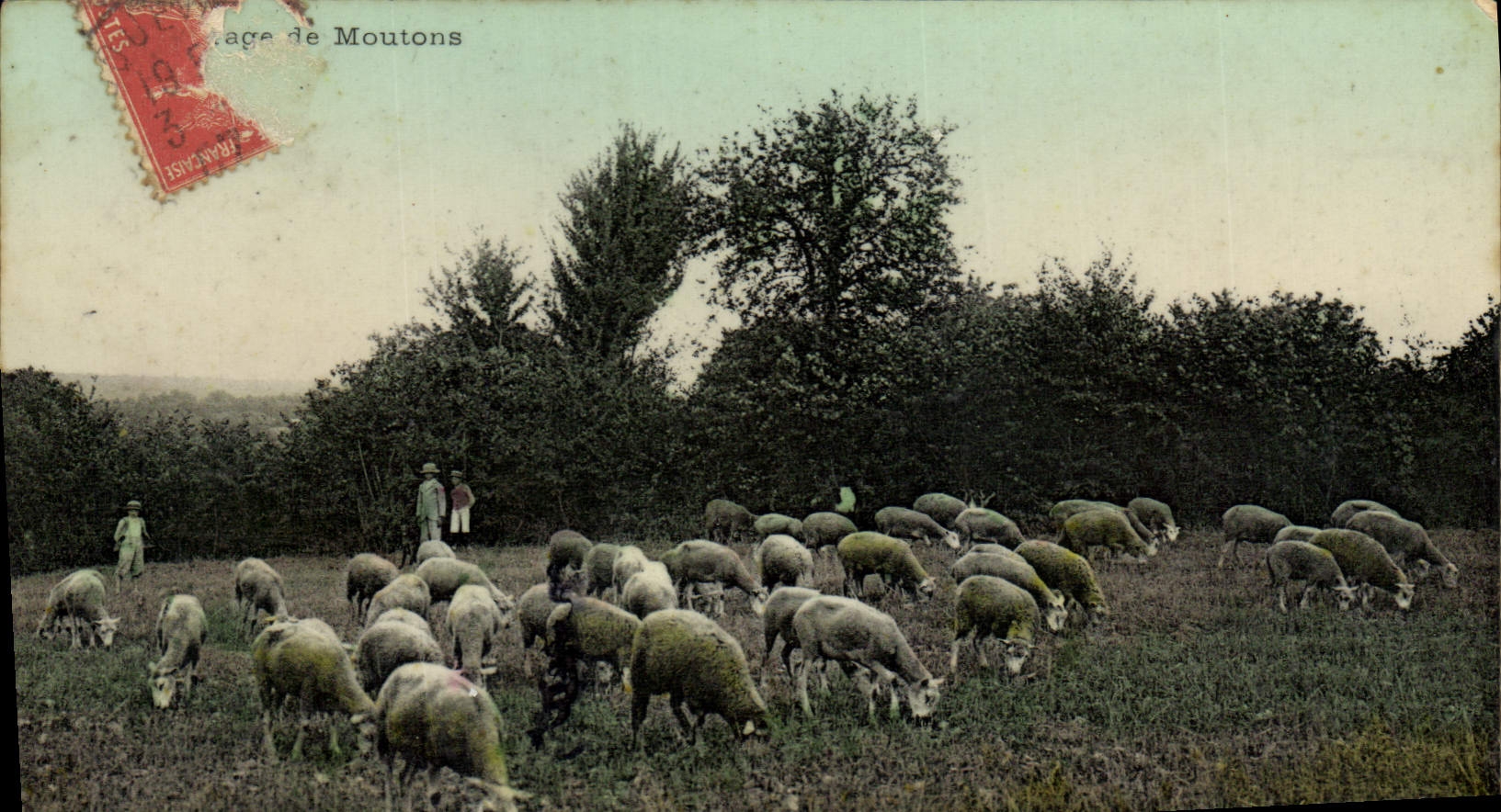 CPA Folklore Elevage de moutons