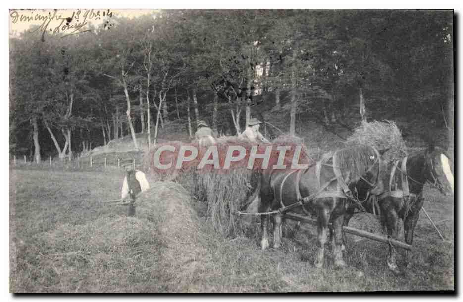 CPA Folklore Moisson Attelage Cheval