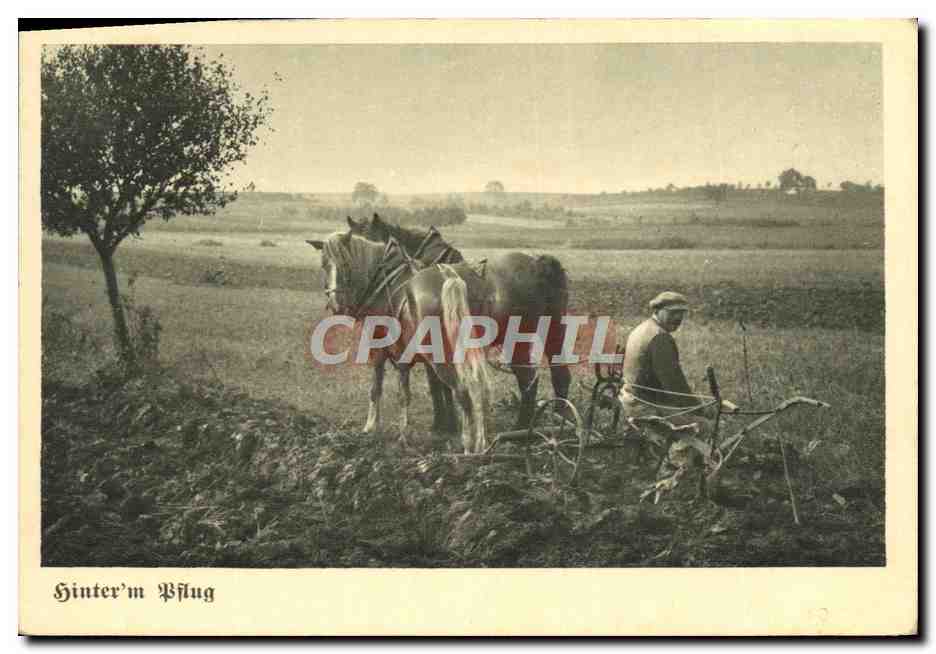 CPA Folklore Labour Cheval