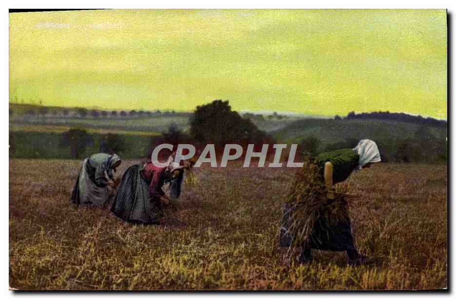 CPA Folklore Glaneuses Paysans