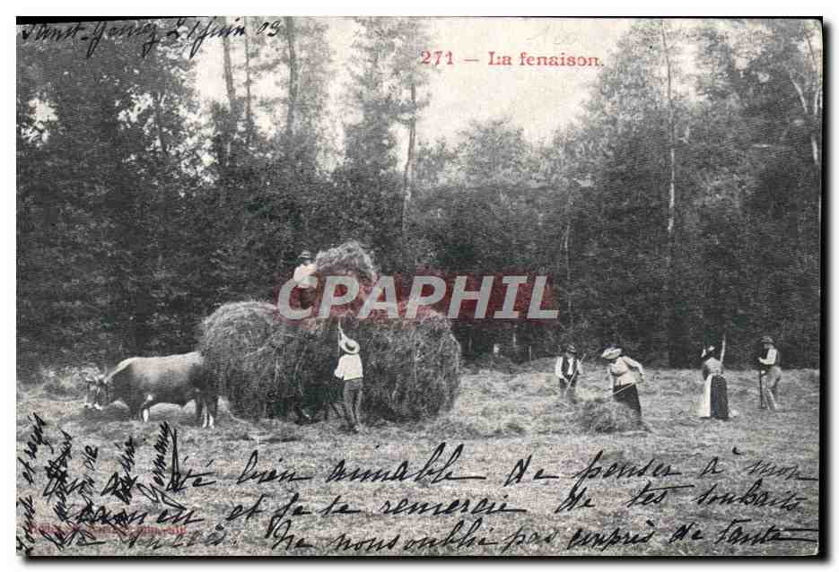 CPA Folklore La fenaison Boeufs 