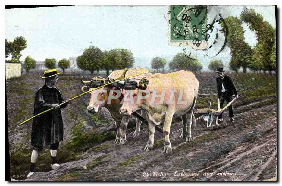 CPA Folklore Vichy Labourage aux environs Boeufs