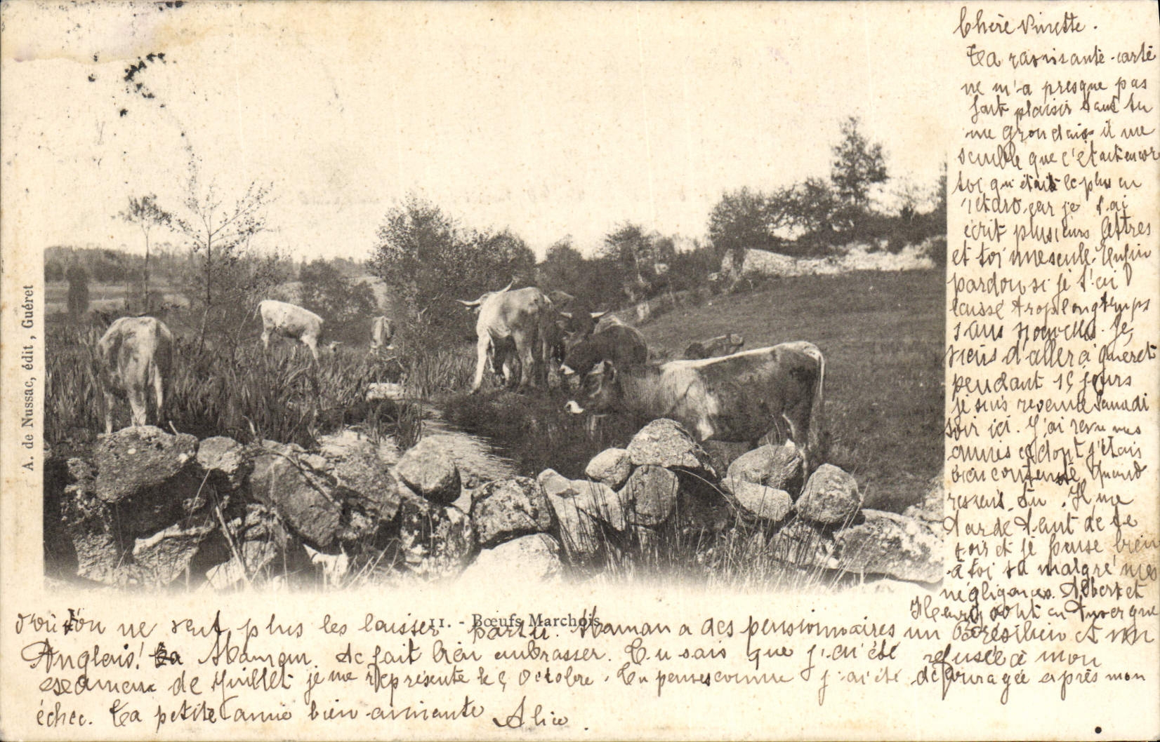 CPA Folklore Boeufs Marchois 