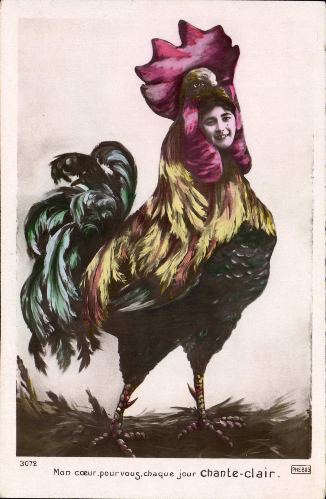Coq — Coeur pour vous, chaque jour chante clair — Phébus, n°3072