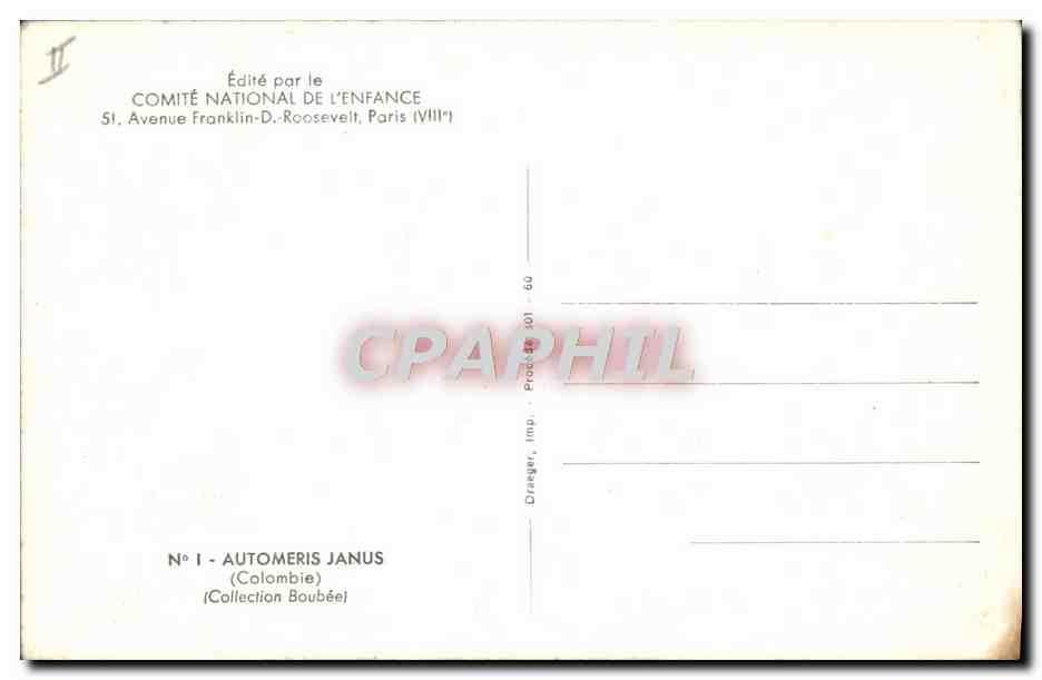 CPA Papillon Automeris Janus Colombie Collection Boubee — Rückseite