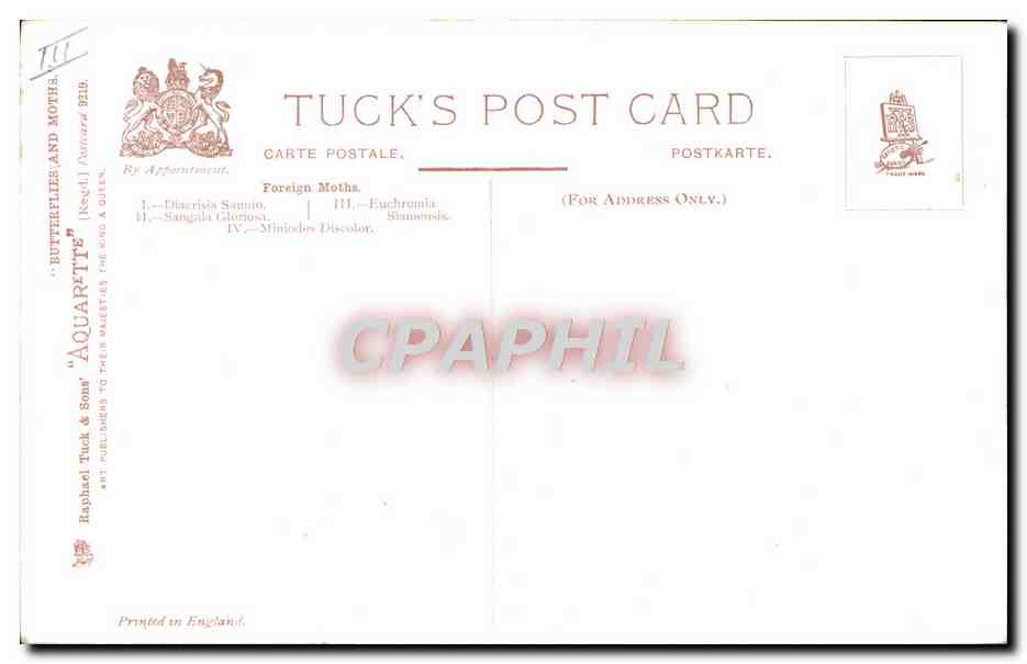 Quatre lépidoptères — Tuck's Post Card — Raphael Tuck & Sons — Verso