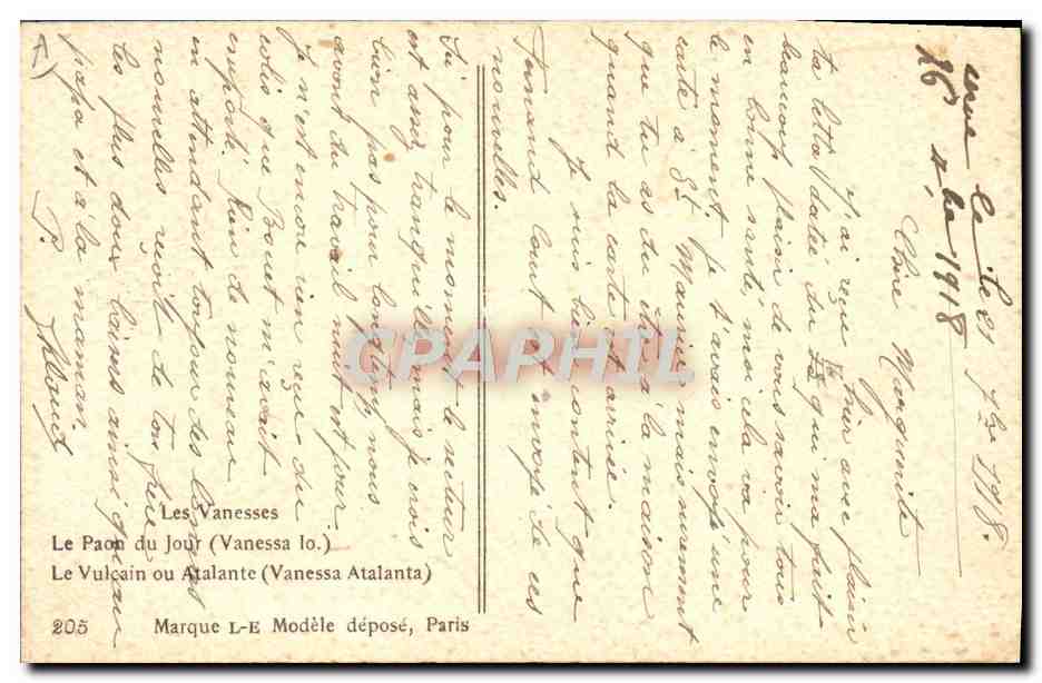 Deux papillons — Peacock et Vulcain — dessiné par Alillat — Verso