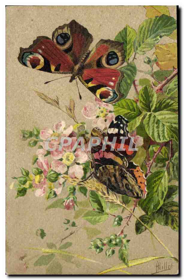 Deux papillons — Alillot — n°205