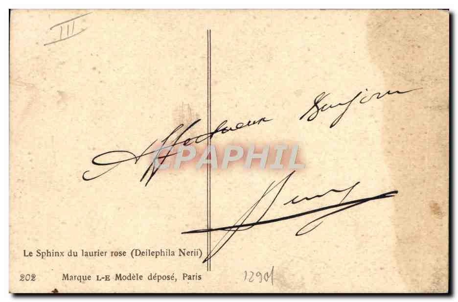 Sphinx du laurier rose — (Deilephila Nerii) — Marque L-E, n°202 — Reverso