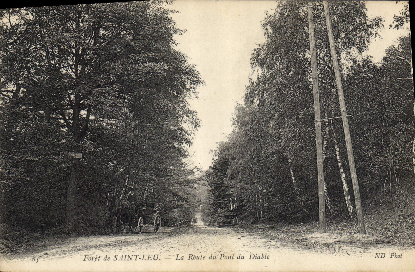 Forêt de SAINT-LEU — La Route du Pont du Diable — ND Phot