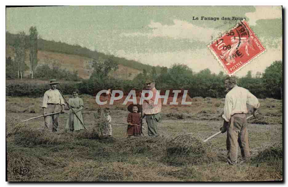 CPA Folklore Le fanage des foins