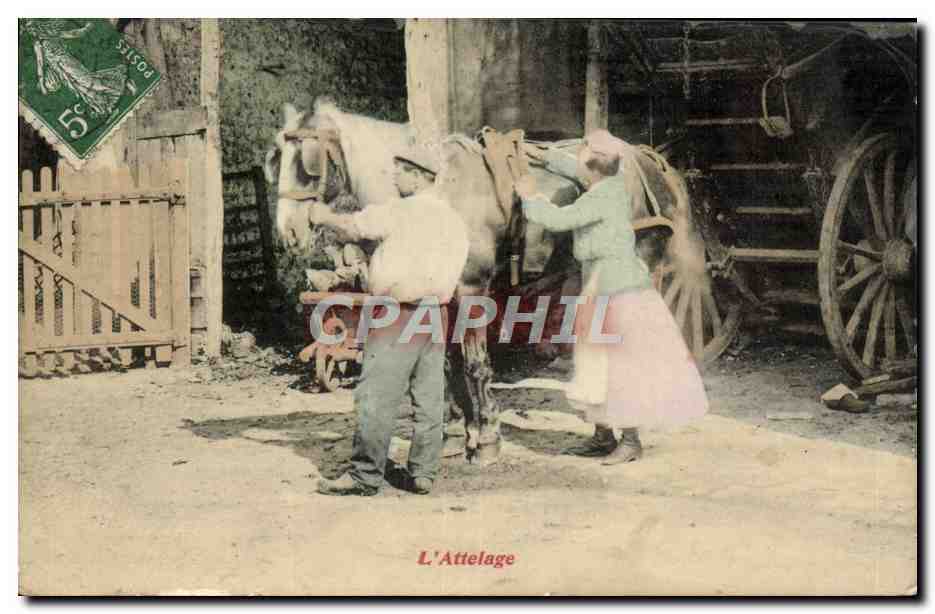 CPA Folklore L'attelage Cheval