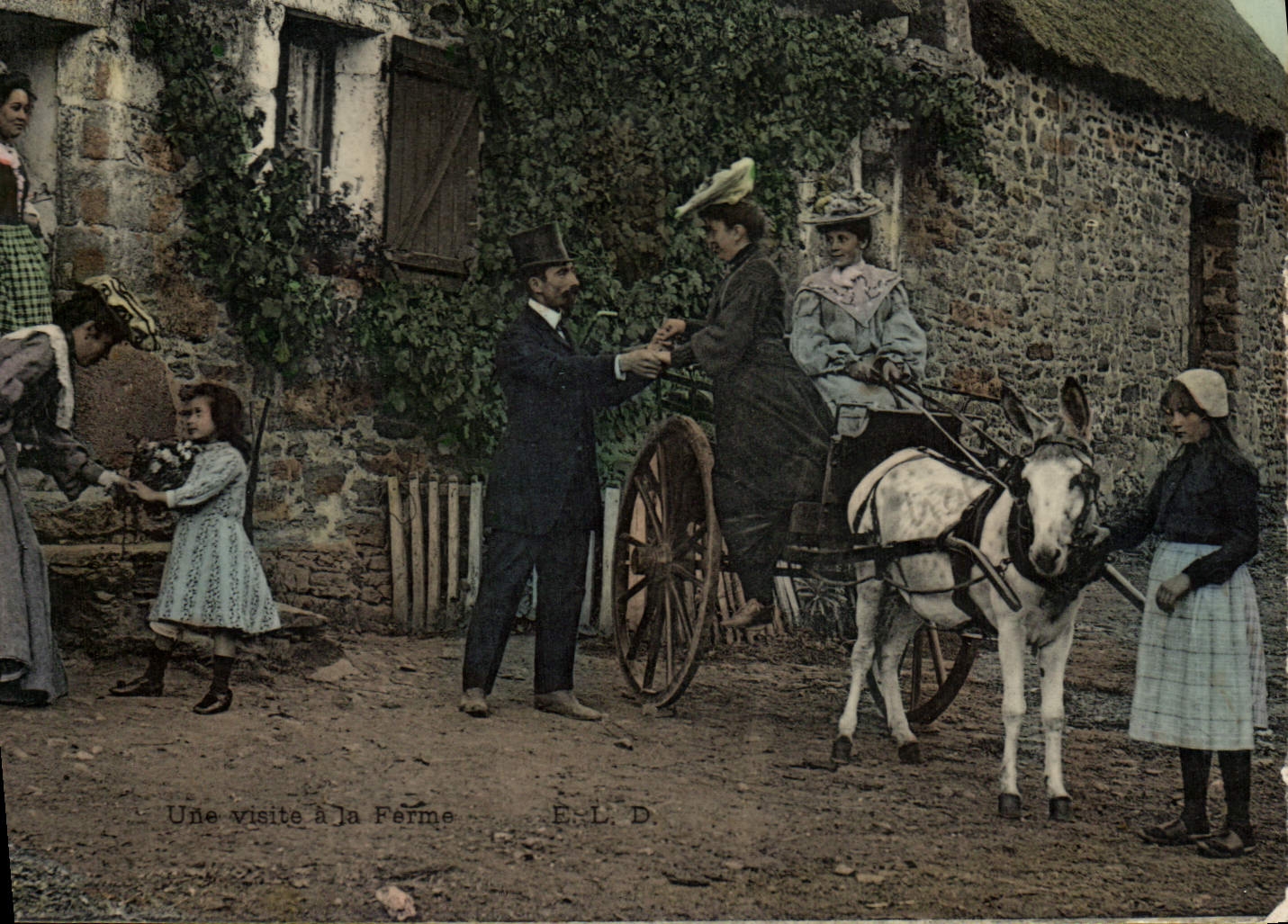 CPA Folklore Une visite a la ferme Ane Mule 