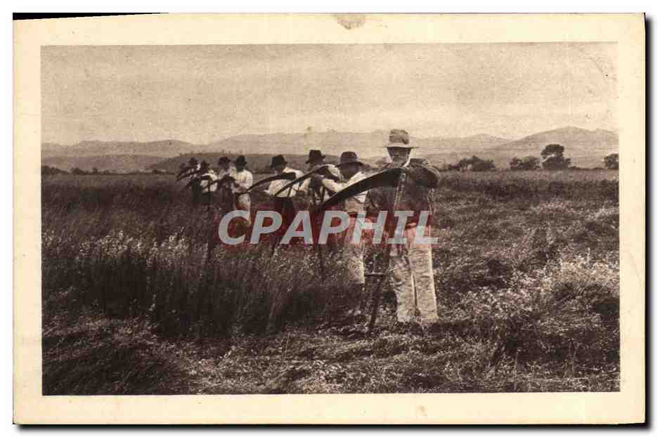 CPA Folklore Fauchage