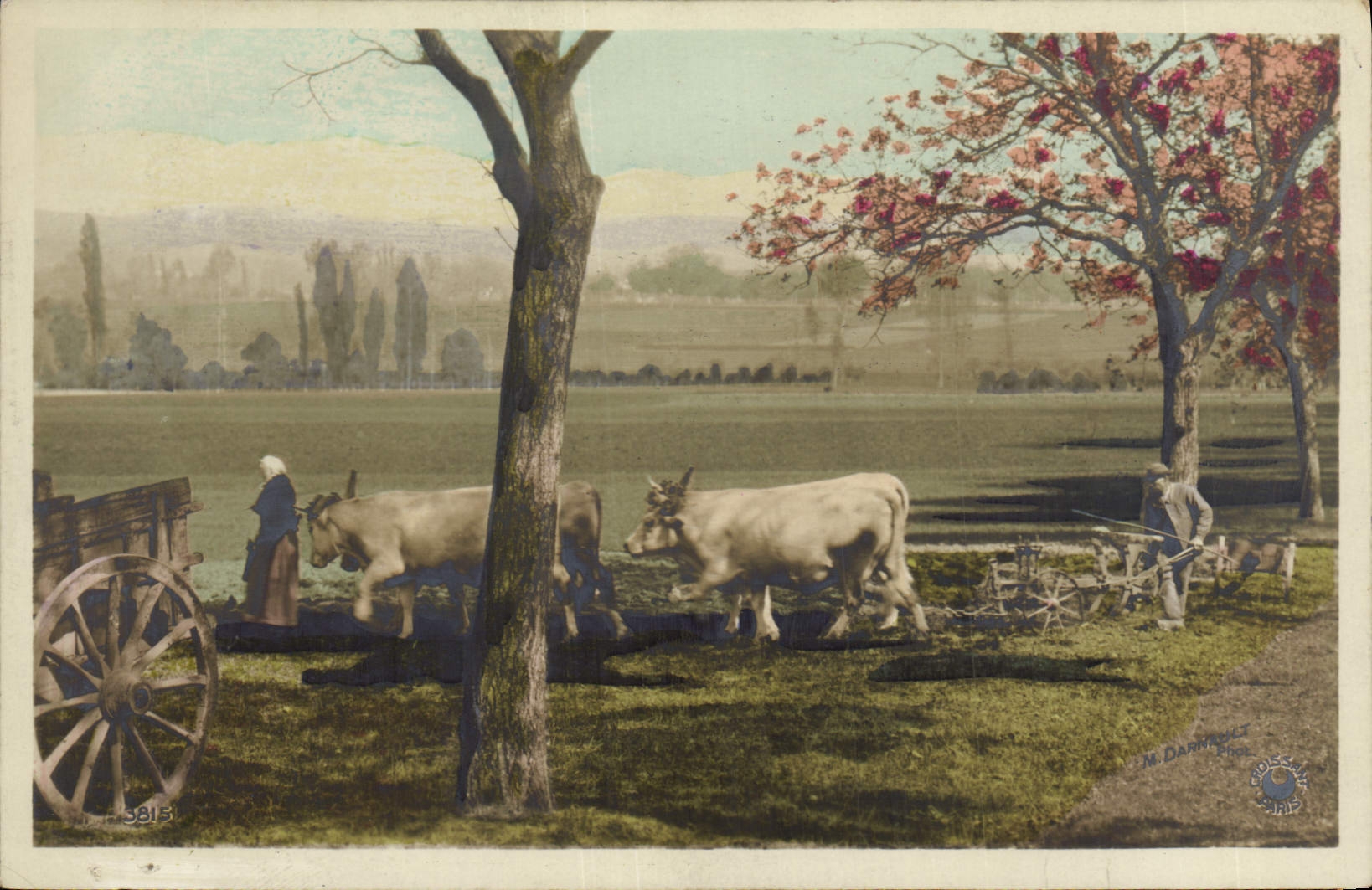 CPA Folklore Attelage Boeufs Labour