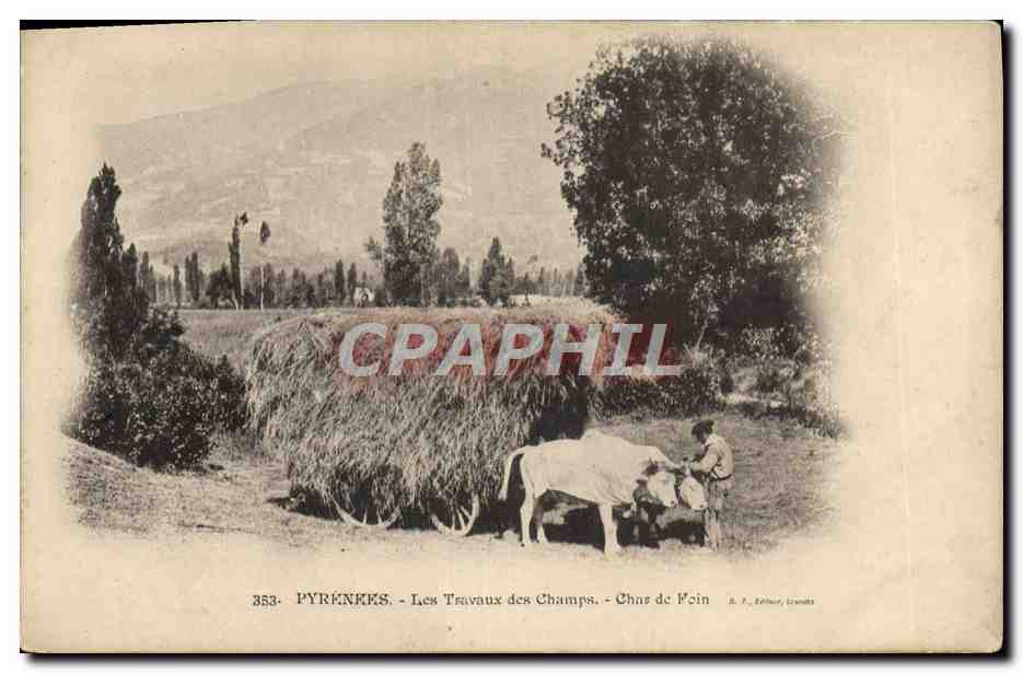 CPA Folklore Pyrenees Les travaux des champs Char de foin 
