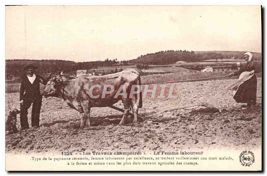 CPA Folklore Les travaux champetres La femme laboureur