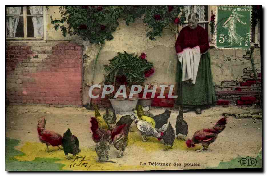 CPA Folklore Femme Le dejeuner des poules