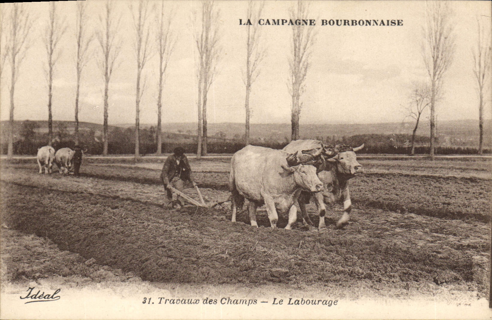 CPA Folklore Travaux des champs Le labourage Boeufs Campagne bourbonnaise