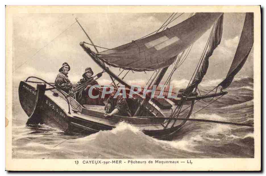 CAYEUX-sur-MER — Pêcheurs de Maquereaux — LL