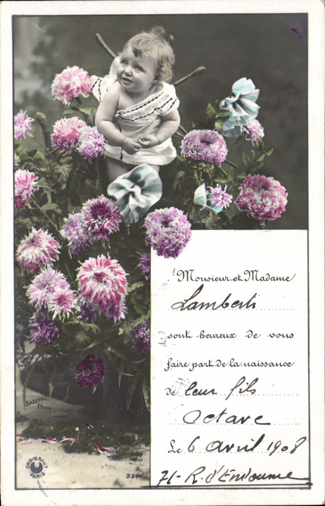 Bébé parmi des dahlias — Sazerac Phot. — Série 3344