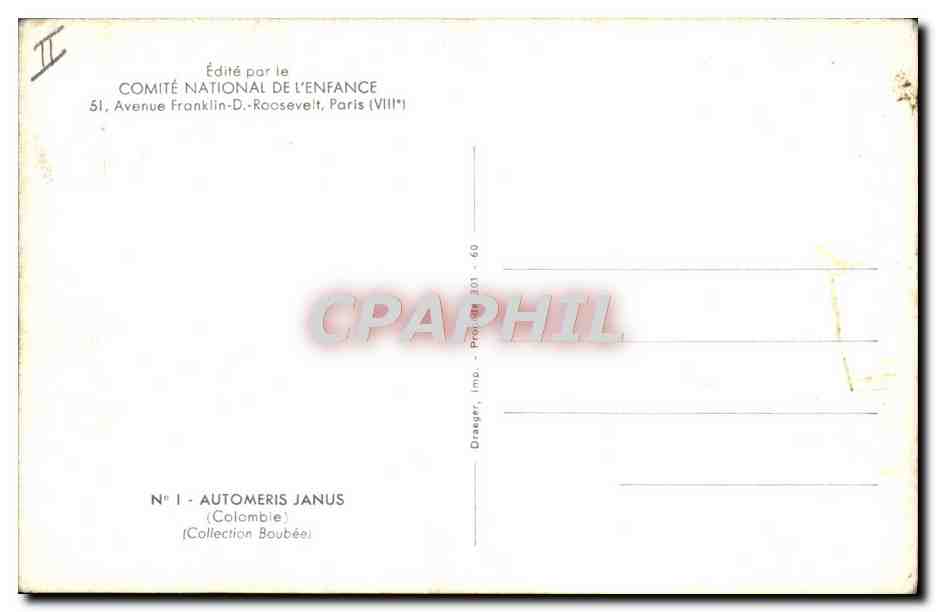 CPA Fantaisie Papillon Automeris Janus Colombie Collection Boubee — Rückseite