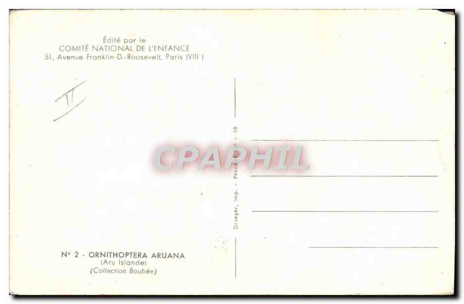 Ornithoptera aruana — Papillon — Édité par le Comité National de l'Enfance, n°2 — Verso