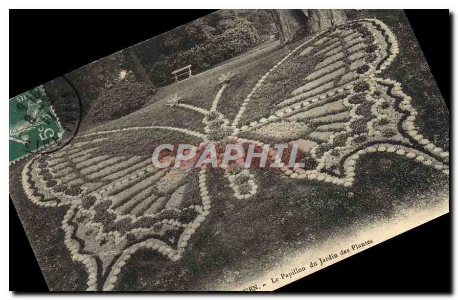 CPA Fantaisie Papillon Rouen Le papillon du jardin des plantes 