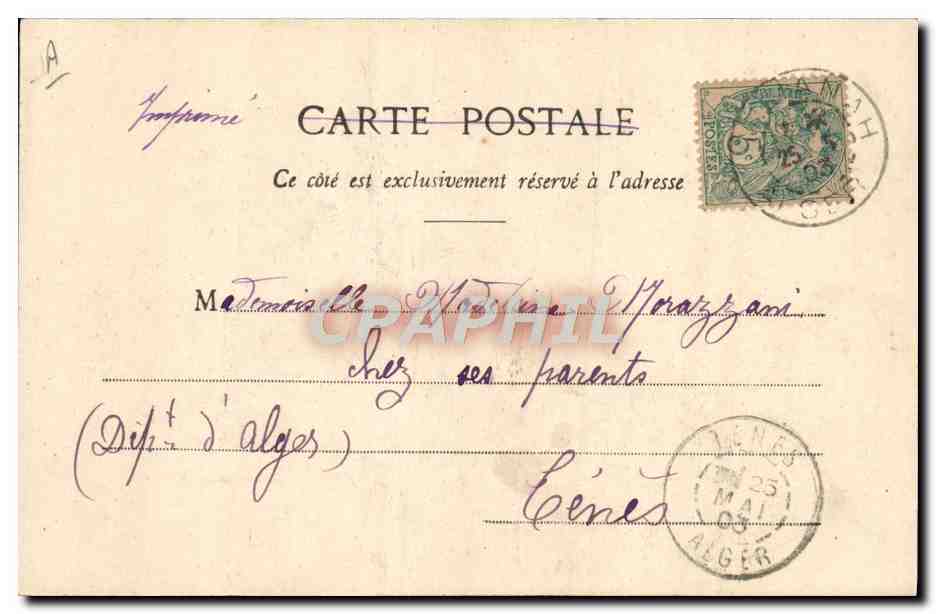Nos Bébés au Téléphone — Phototypie A. Bergeret et Cie, Nancy — n° de série non visible — Verso