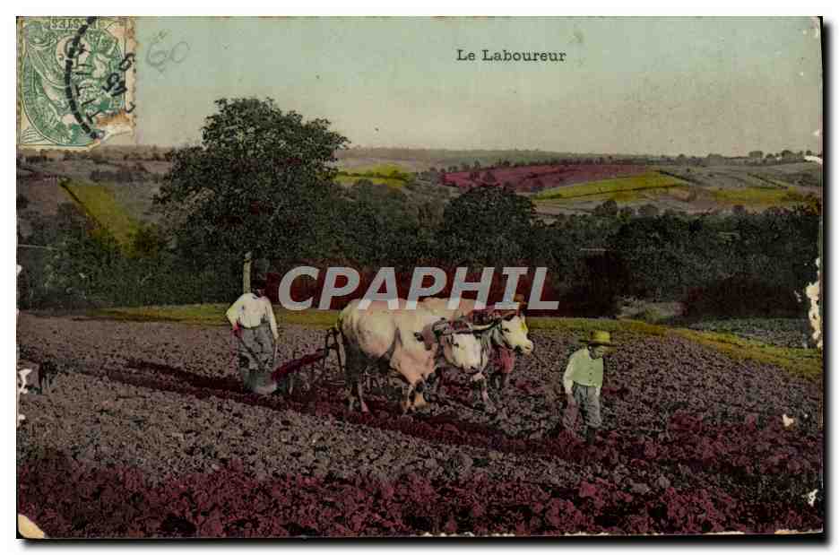 CPA Folklore Le laboureur Attelage Boeufs 