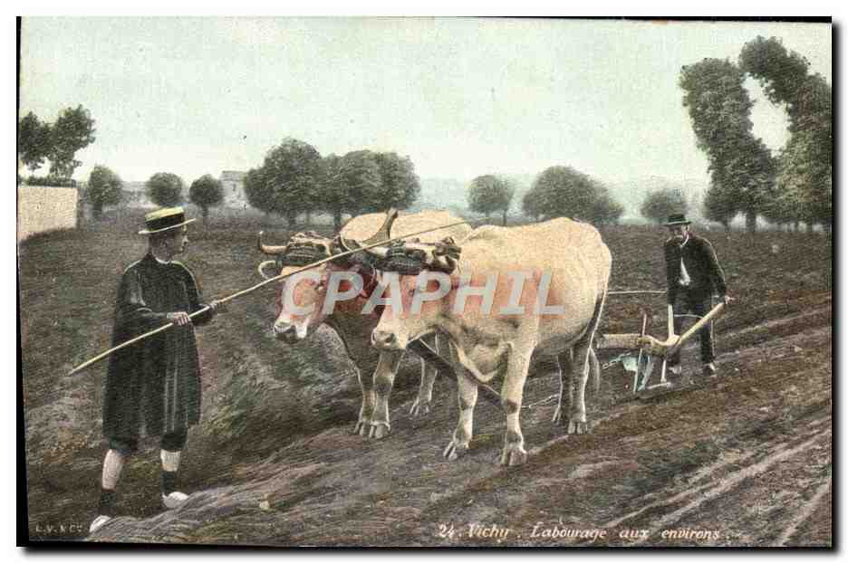 CPA Folklore Vichy Labourage aux environs Boeufs 