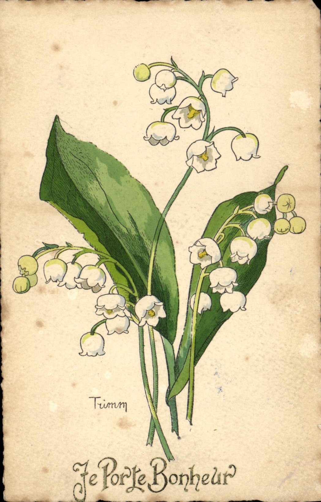 CPA Fantaisie Fleurs Muguet