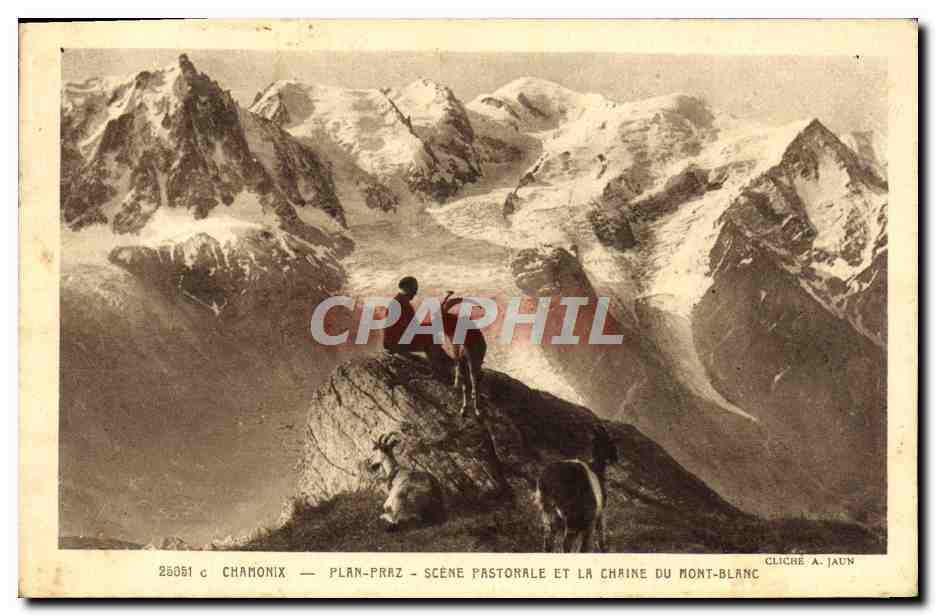 CPA Chevre Chamonix Plan Praz Scene pastorale et la chaine du Mont Blanc