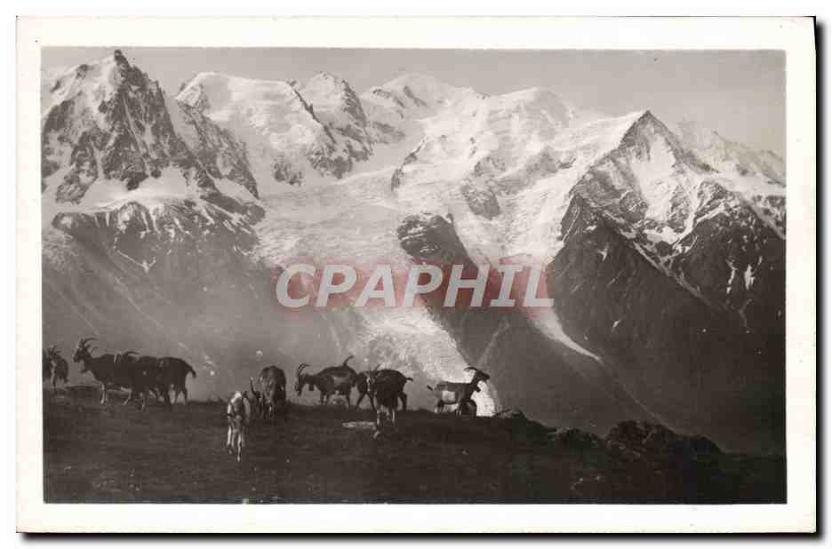 CPA Chevre Mont Blanc Le massif du Mont Blanc vu de Plan Praz